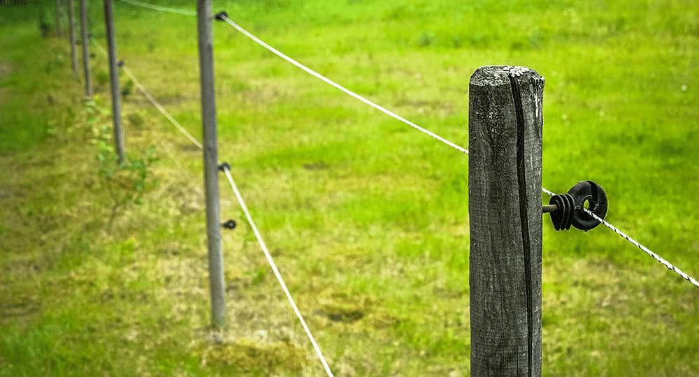 Electric fence