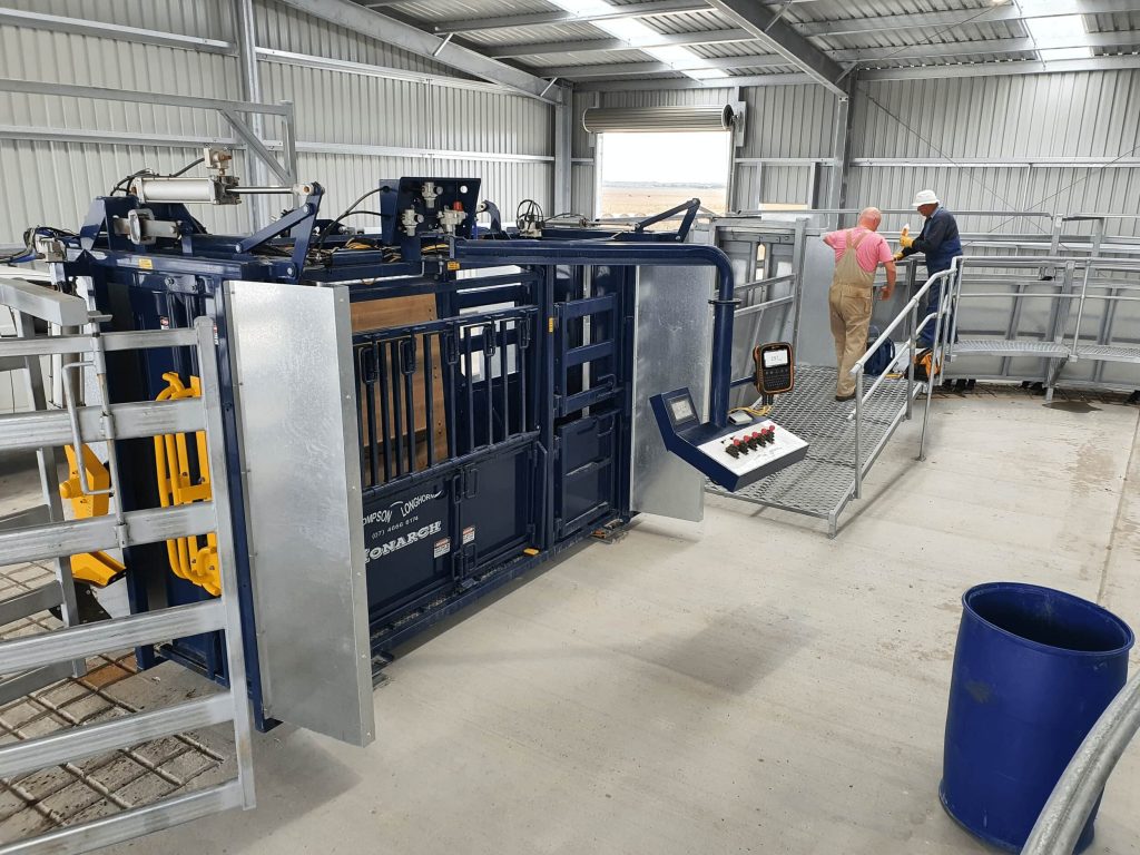 Automatic cow weigher