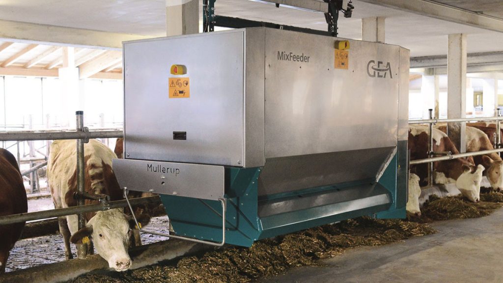 Cows and a mix feeder