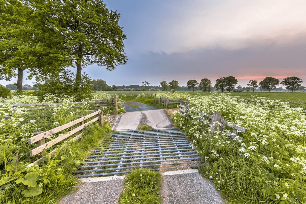 Cattle guard