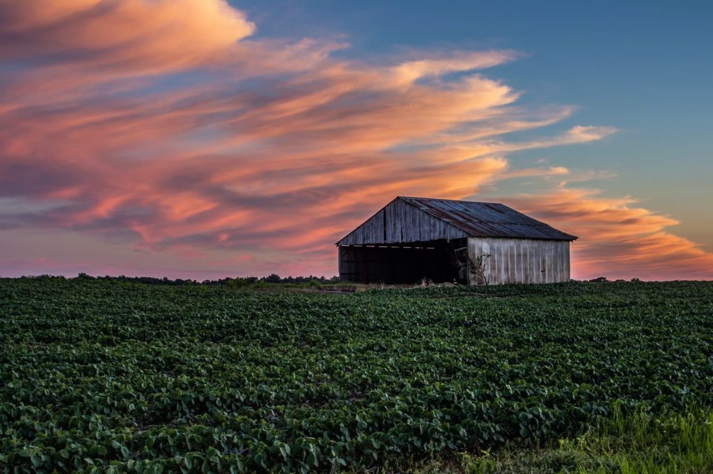 Barn in a green field